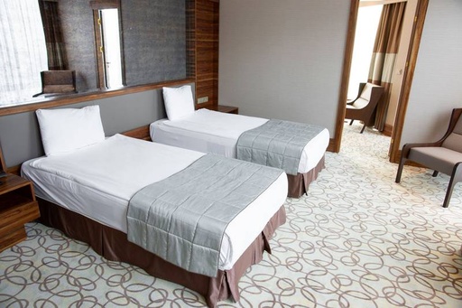 Diplomatic Suite